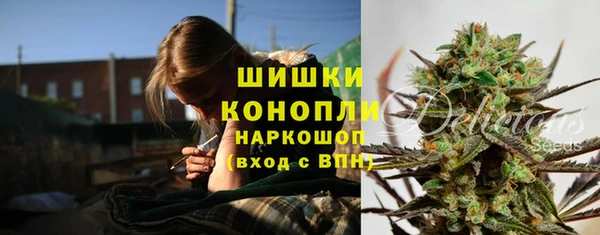 ГАЛЛЮЦИНОГЕННЫЕ ГРИБЫ Балабаново