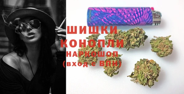ГАЛЛЮЦИНОГЕННЫЕ ГРИБЫ Балабаново