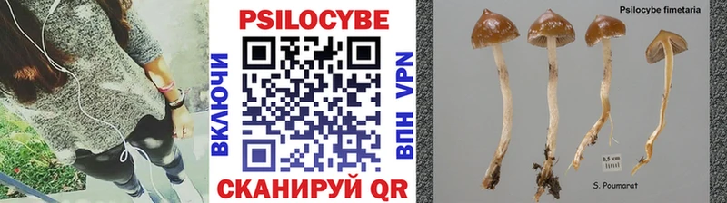 Псилоцибиновые грибы Magic Shrooms  Кондрово 